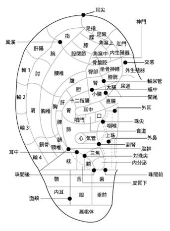 耳つぼ 図解 ツボ 耳ツボ療法 三益製薬ブログ 健康食品のoem 受託製造 Pb 販売をサポート 三益製薬株式会社 福岡市博多区