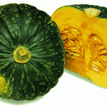 pumpkin3e.gif